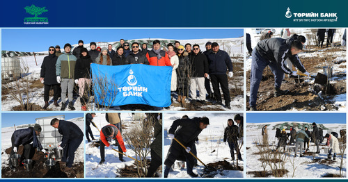 Төрийн банкны хамт олон Таширын аманд мод тарилаа